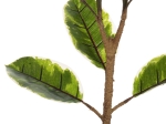 ΔΙΑΚΟΣΜΗΤΙΚΟ ΣΥΝΘΕΤΙΚΟ ΦΥΤΟ HM7972 OAK LEAF ΣΕ ΓΛΑΣΤΡΑ 85Υεκ.