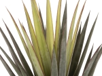 ΔΙΑΚΟΣΜΗΤΙΚΟ ΣΥΝΘΕΤΙΚΟ ΦΥΤΟ HM7986 SISAL AGAVE ΣΕ ΓΛΑΣΤΡΑ Φ15,5x14,5-96Υεκ.