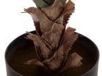 ΔΙΑΚΟΣΜΗΤΙΚΟ ΣΥΝΘΕΤΙΚΟ ΦΥΤΟ HM7986 SISAL AGAVE ΣΕ ΓΛΑΣΤΡΑ Φ15,5x14,5-96Υεκ.