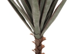ΔΙΑΚΟΣΜΗΤΙΚΟ ΣΥΝΘΕΤΙΚΟ ΦΥΤΟ HM7987 SISAL AGAVE ΣΕ ΓΛΑΣΤΡΑ 120Υεκ.
