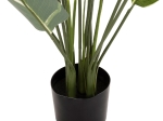 ΔΙΑΚΟΣΜΗΤΙΚΟ ΣΥΝΘΕΤΙΚΟ ΦΥΤΟ HM7997 CALATHEA ΣΕ ΓΛΑΣΤΡΑ 140Υεκ.