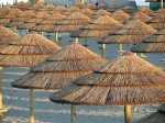 ΟΜΠΡΕΛΑ THATCH