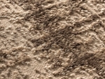 Σετ Κρεβ/ρας 3τμχ Prestige Art 9316 Beige Brown - Μπεζ Καφέ       Beauty Home