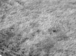 Χαλί FEATHERY GREY σετ-κρεβατοκάμαρας-67-x-140-2-67-x-230-εκ