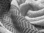 Πετσέτα FROND GREY