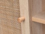 ΕΠΙΠΛΟ TV ΜΕΛΑΜΙΝΗΣ COLM ΜΕ ΠΟΡΤΕΣ RATTAN HM9223.11 ΣΕ ΧΡΩΜΑ ΦΥΣΙΚΟ 120x39x56,5Υεκ.