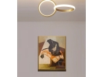 ΦΩΤΙΣΤΙΚΟ ΟΡΟΦΗΣ LED 20W 2500LM ΧΡΥΣΟ 40X25X25CM