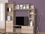 ΣΥΝΘΕΣΗ TΗΛΕΟΡΑΣΗΣ BADAN 188X35X181ΕΚ ΣΟΝΟΜΑ-ΜΟΚΚΑ
