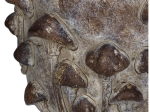 ΚΑΣΠΩ ARTELIBRE ΜΑΝΙΤΑΡΙ ΚΑΦΕ ΤΣΙΜΕΝΤΟ 18.5X18.5X14.5CM