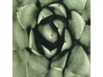 ΜΑΞΙΛΑΡΙ ARTELIBRE ΠΡΑΣΙΝΟ ΒΕΛΟΥΔΟ 40X60CM