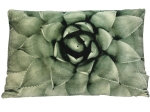 ΜΑΞΙΛΑΡΙ ARTELIBRE ΠΡΑΣΙΝΟ ΒΕΛΟΥΔΟ 40X60CM
