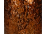 ΚΗΡΟΠΗΓΙΟ ARTELIBRE AMBER ΓΥΑΛΙ 12X12X20CM