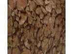ΚΗΡΟΠΗΓΙΟ ARTELIBRE ΚΑΦΕ ΓΥΑΛΙ 12.5X12.5X10CM
