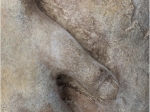 ΚΑΣΠΩ ARTELIBRE ΧΕΡΙΑ ΚΑΦΕ ΤΣΙΜΕΝΤΟ 24.5X17.5X16.5CM