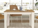 ΤΡΑΠΕΖΙ DARLEN MEGAPAP ΧΡΩΜΑ ΛΕΥΚΟ - SAPPHIRE OAK 110X72X74ΕΚ.