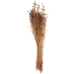 Μπουκέτο Αποξηραμένο Lino AH-AX71136 70cm Natural Andrea House