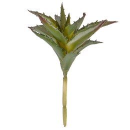 Διακοσμητικό Φυτό Aloe PT3648 15,2x17,1x15,2cm Green Present Time Πλαστικό