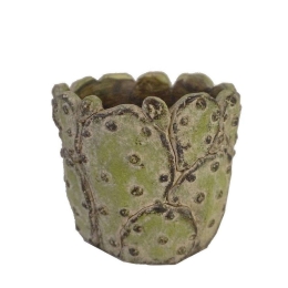 Κασπώ Κάκτος JOE219 17,5x17,5x15cm Green Espiel Τσιμέντο