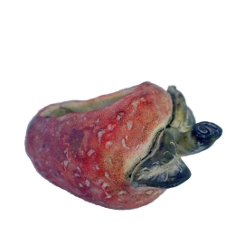 Κασπώ Φράουλα JOE209 24x18x15cm Red-Green Espiel Τσιμέντο