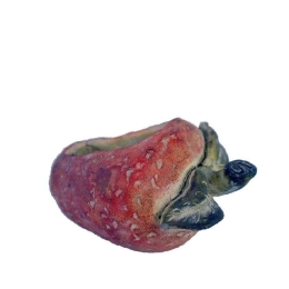 Κασπώ Φράουλα JOE210 20x14,5x12cm Red-Green Espiel Τσιμέντο