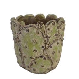 Κασπώ Κάκτος JOE220  14x12cm Green Espiel Τσιμέντο