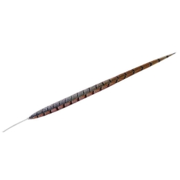 Φτερό Διακοσμητικό FTE133K6 90cm Brown Espiel Χαρτί