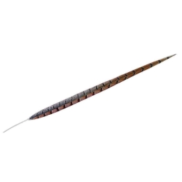 Φτερό Διακοσμητικό FTE136K6 55cm Brown Espiel Χαρτί