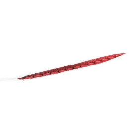 Φτερό Διακοσμητικό FTE215K6 80cm Red Espiel Χαρτί