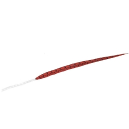 Φτερό Διακοσμητικό FTE219K6 80cm Red Espiel Χαρτί