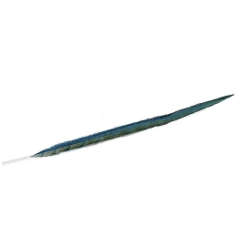 Φτερό Διακοσμητικό FTE222K6 70cm Green-Blue Espiel Χαρτί