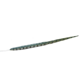 Φτερό Διακοσμητικό FTE230K6 70cm Green-Black Espiel Χαρτί
