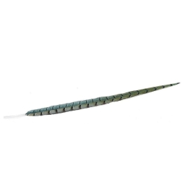 Φτερό Διακοσμητικό FTE232K6 90cm Green-Black Espiel Χαρτί