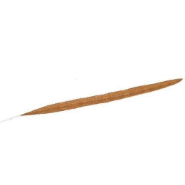 Φτερό Διακοσμητικό FTE234K6 70cm Brown Espiel Χαρτί