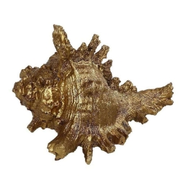 Διακοσμητικό Χώρου Κοχύλι MT2727K2 14x12,5x9,5cm Gold Espiel Πολυρεσίνη