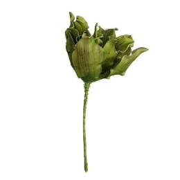 Διακοσμητικό Λουλούδι LOL9986K6 48cm Green Espiel Πολυαιθυλένιο