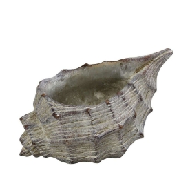Κασπώ Κοχύλι JOE313 23,5x16x13,5cm Beige Espiel Τσιμέντο