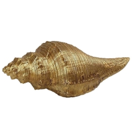 Διακοσμητικό Κοχύλι MT2717K2 18x7x6cm Gold Espiel Πολυρεσίνη