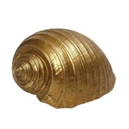 Διακοσμητικό Κοχύλι MT2731K4 11,5x9x6,5cm Gold Espiel Πολυρεσίνη