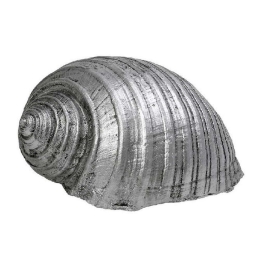 Διακοσμητικό Κοχύλι MT2732K4 11,5x9x6,5cm Silver Espiel Πολυρεσίνη