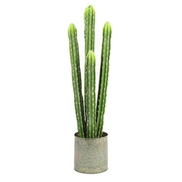 Διακοσμητικός Κάκτος Σε Κασπώ 013.771145 91cm Green-Light Green Πολυέστερ