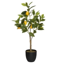 Λεμονιά Σε Κασπώ 07.179314 H70cm Green-Yellow Πολυαιθυλένιο