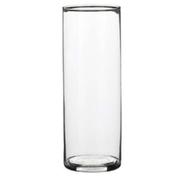 Βάζο Γυάλινο Carly 02.1041804 9x24cm Clear Γυαλί