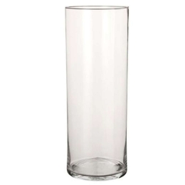 Βάζο Γυάλινο Carly 02.1027033 19x48cm Clear Γυαλί