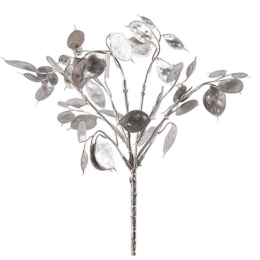 Κλαδί Lunaria 013.792375 40cm Silver