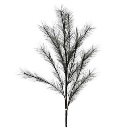 Κλαδί Pampas Φωτιζόμενο 013.793665 90cm Black