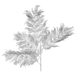 Κλαδί Φτέρη 013.785006 100cm Silver