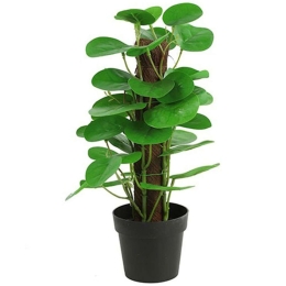 Τεχνητό Φυτό Σε Κασπώ Φυλλόδενδρο 013.787819 35cm Multi-Green