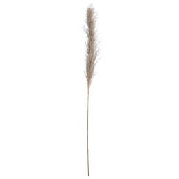 ΚΛΑΔΙ ΓΡΑΣΙΔΙ ARTELIBRE ΤΕΧΝΗΤΟ ΕΚΡΟΥ 150CM