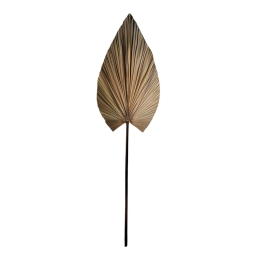 ΔΙΑΚΟΣΜΗΤΙΚΟ ΦΥΛΛΟ LEAFEN PAKOWORLD ΦΥΣΙΚΟ PALM LEAF 150 ΕΚ