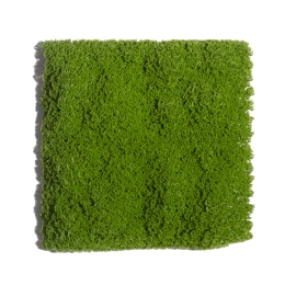 Τεχνητή φυλλωσιά Mossy 50x50 εκ